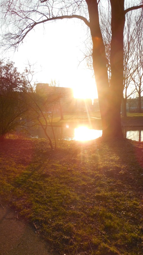 sunrise or sunset in Holland